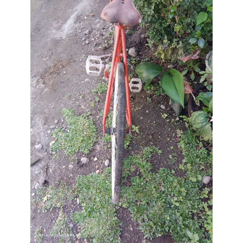sepeda fixie second soloist