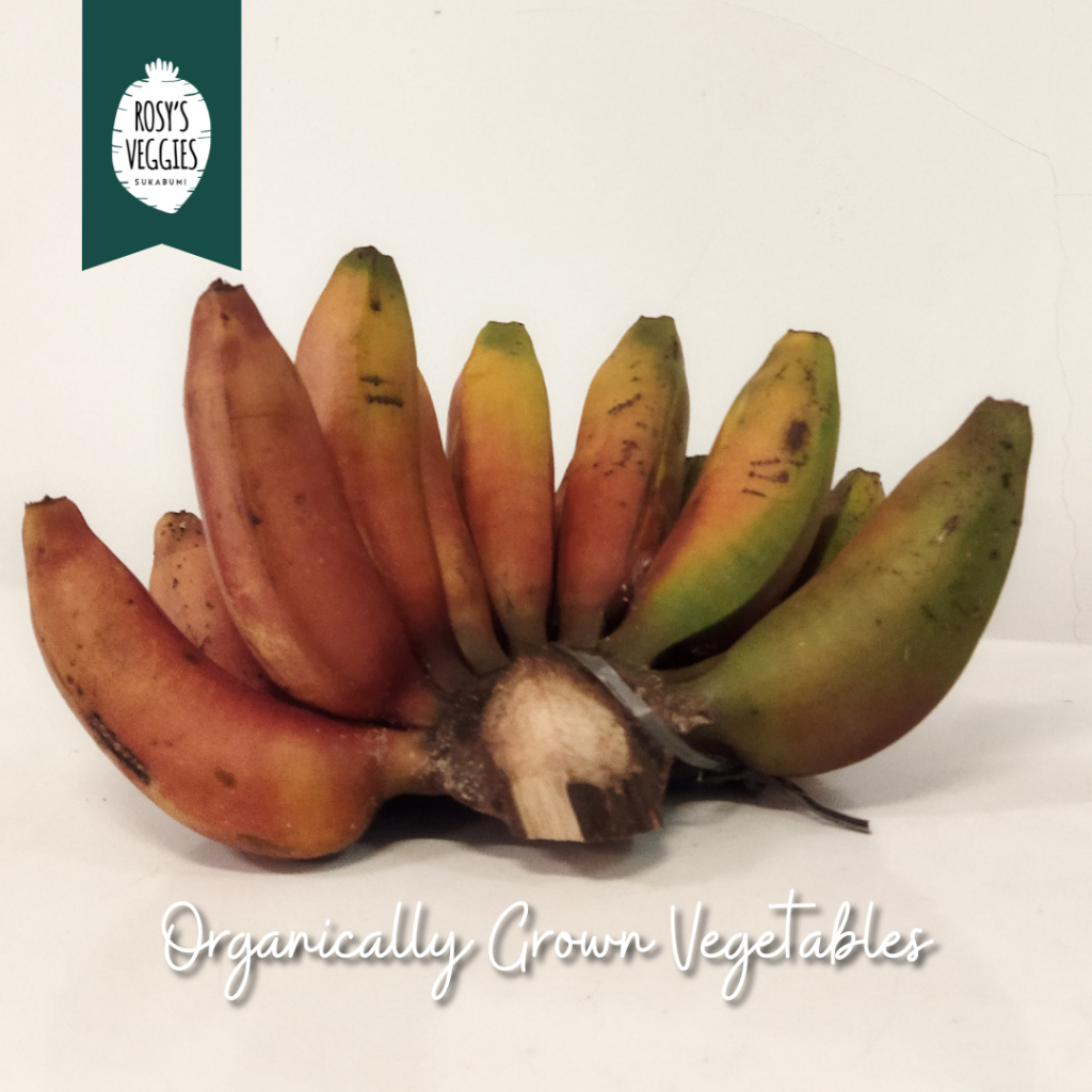 

Pisang Merah Organik | per kg