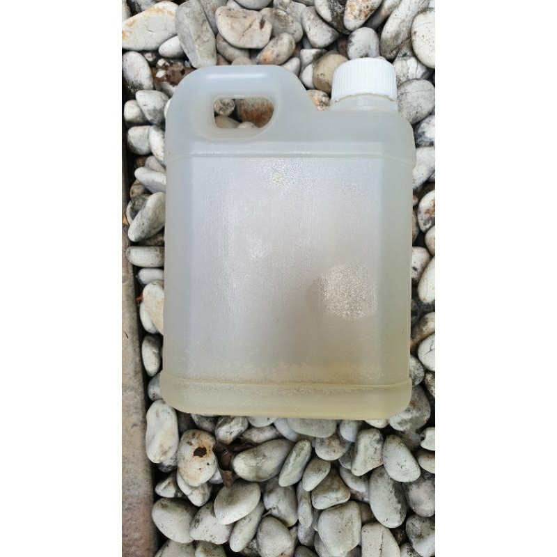 

Madu Tawon Murni Lvita