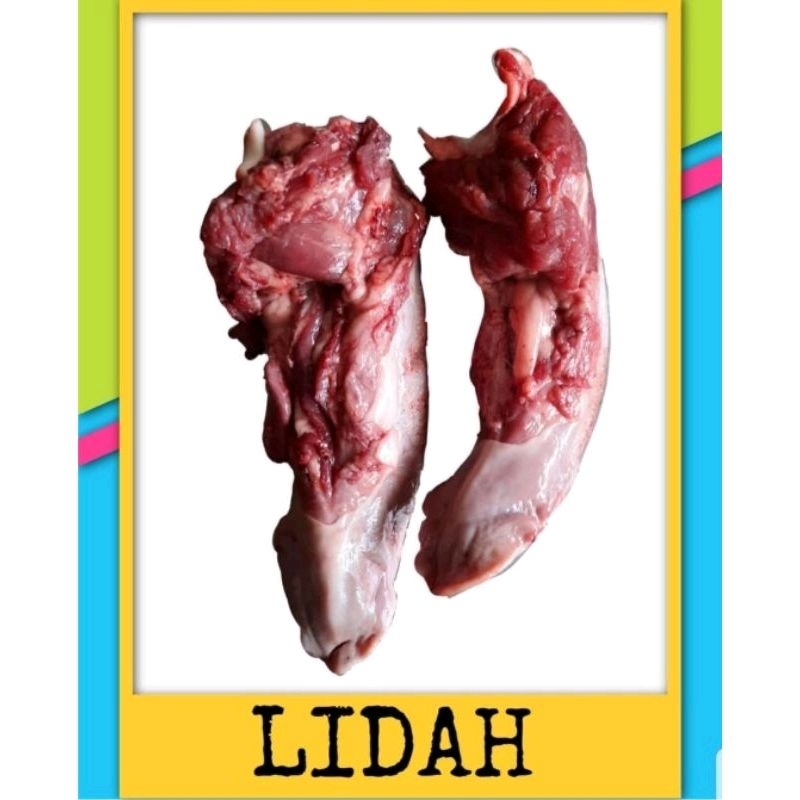 

Lidah babi