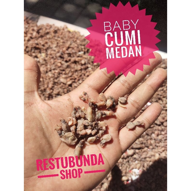

BABY CUMI MEDAN SUPER 100gr