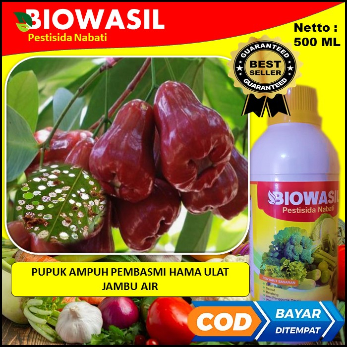 Cod Murah Langsung Kirim Pupuk Terbaik Biowasil Pestisida Nabati 500 Ml Pupuk Ampuh Membasmi Hama ul