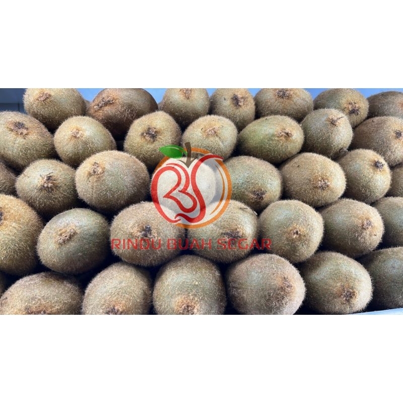 

buah kiwi hijau