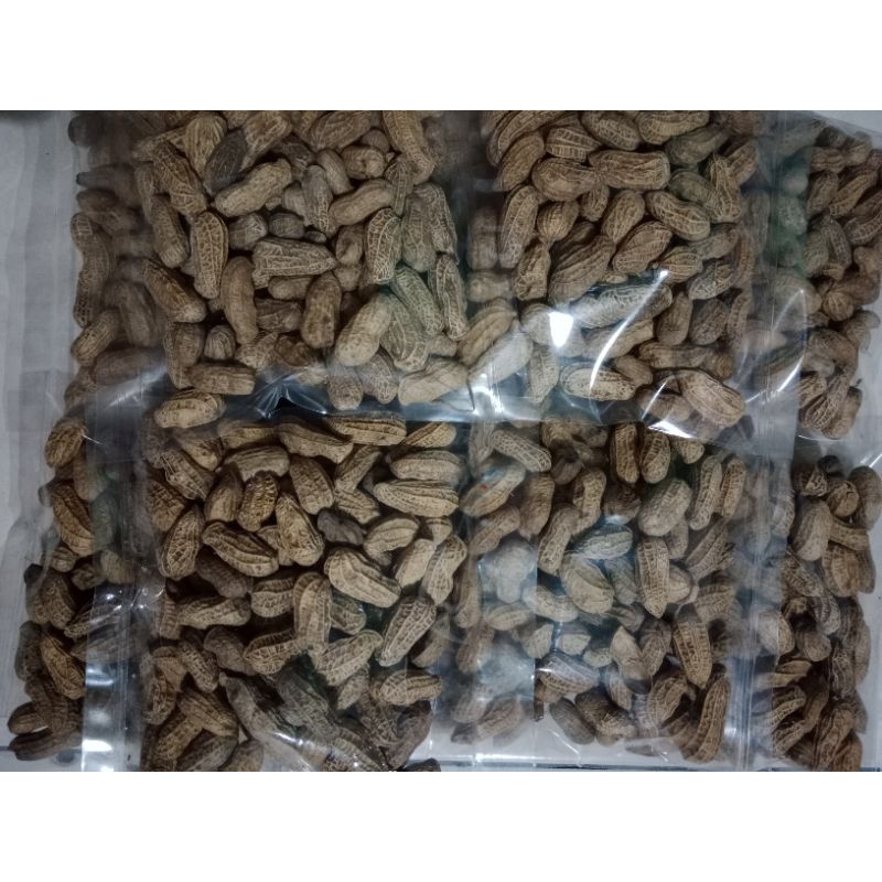 

[500gr] Kacang Kulit Sangrai Enak dan Gurih