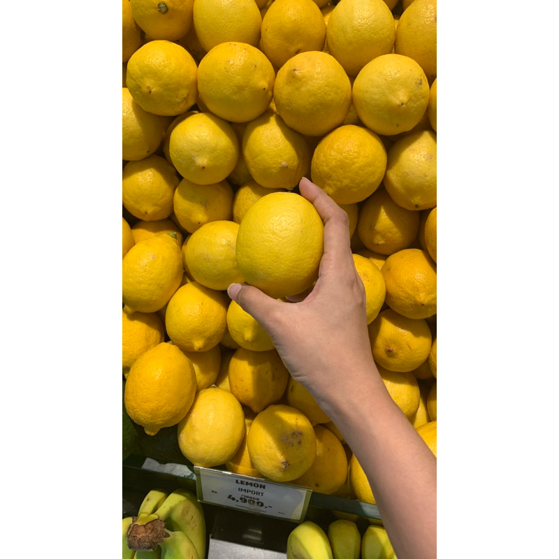 

Lemon Import Osaka Japan