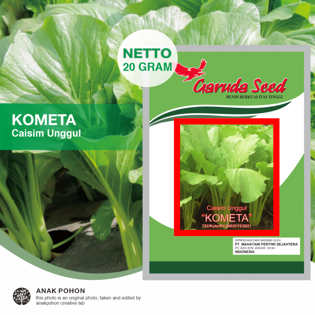 (1 PACK) Benih Caisim Unggul KOMETA Sawi Hijau Manis Seeds - Garuda Seed - 20 GRAM