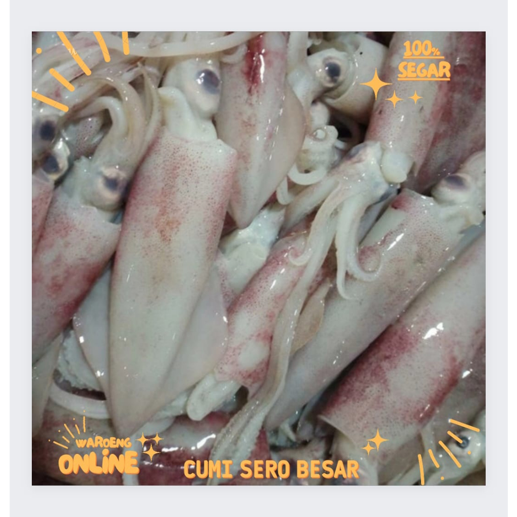 

Cumi Sero Besar Segar 500gr