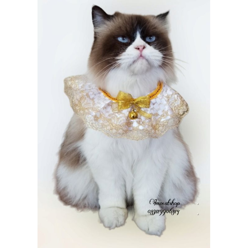 Kalung renda kucing anjing