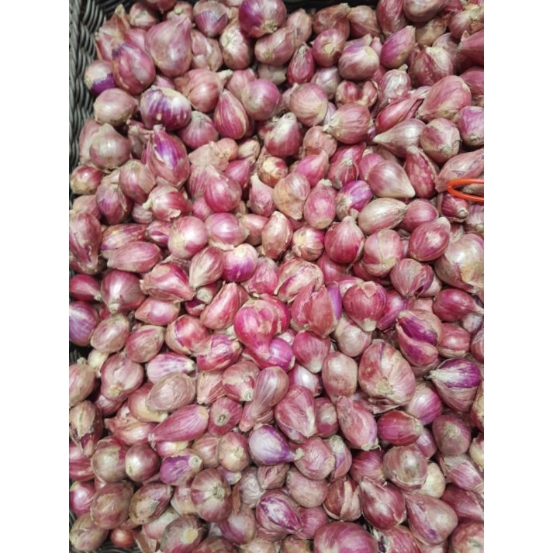 

Bawang merah brebes super 250gr