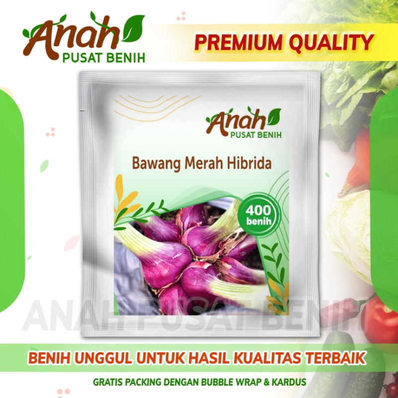 

400 Benih Bawang Merah Hibrida / Benih sayuran super / Biji sayuran unggul