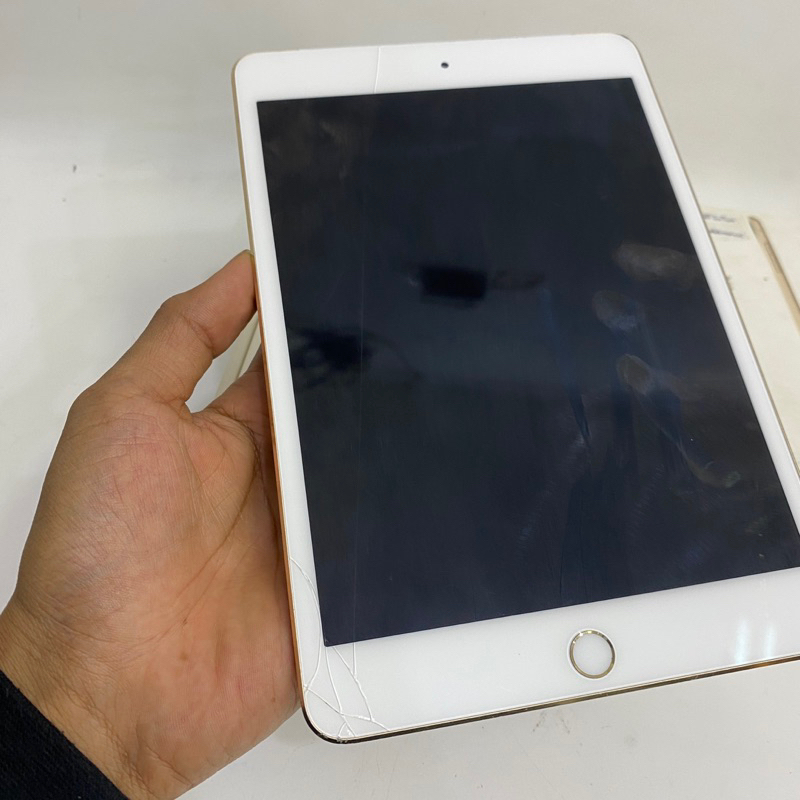 iPad mini 4 Resmi iBox