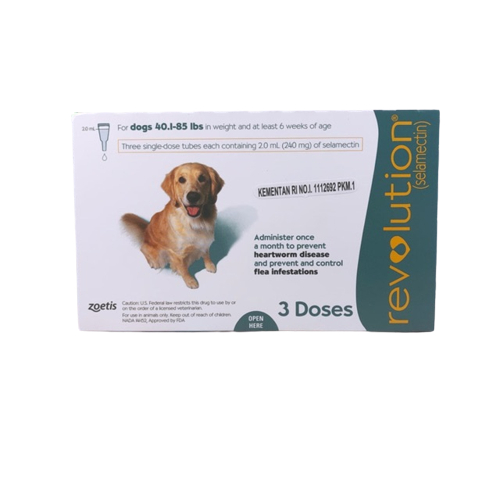 Obat Kutu - Revolution Teal Large Dog