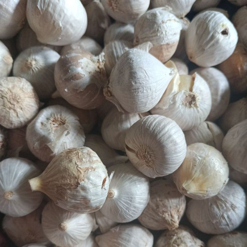 

Bawang Putih Tunggal Grade C 1KG