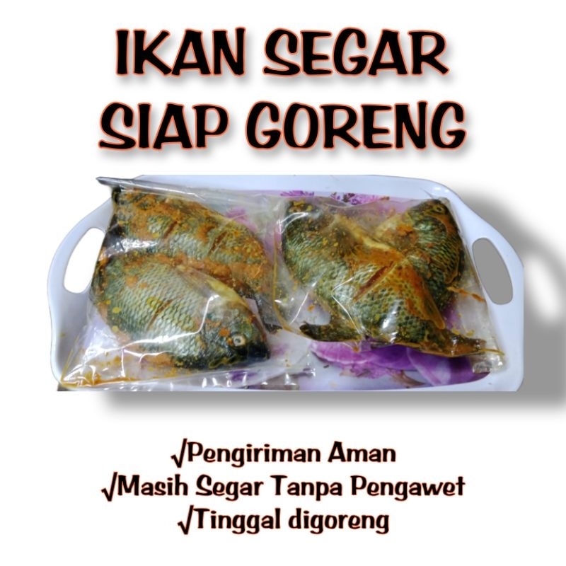 

IKAN SEGAR SIAP GORENG / IKAN MENTAH SIAP GORENG