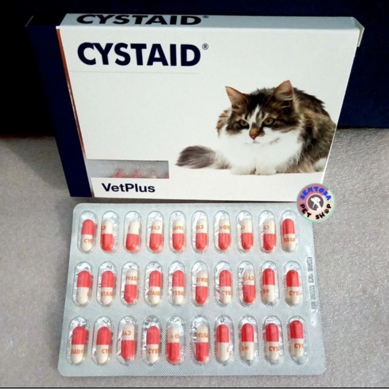 Cystaid Plus Obat Untuk Masalah Saluran Kemih Harga Satu Kapsul