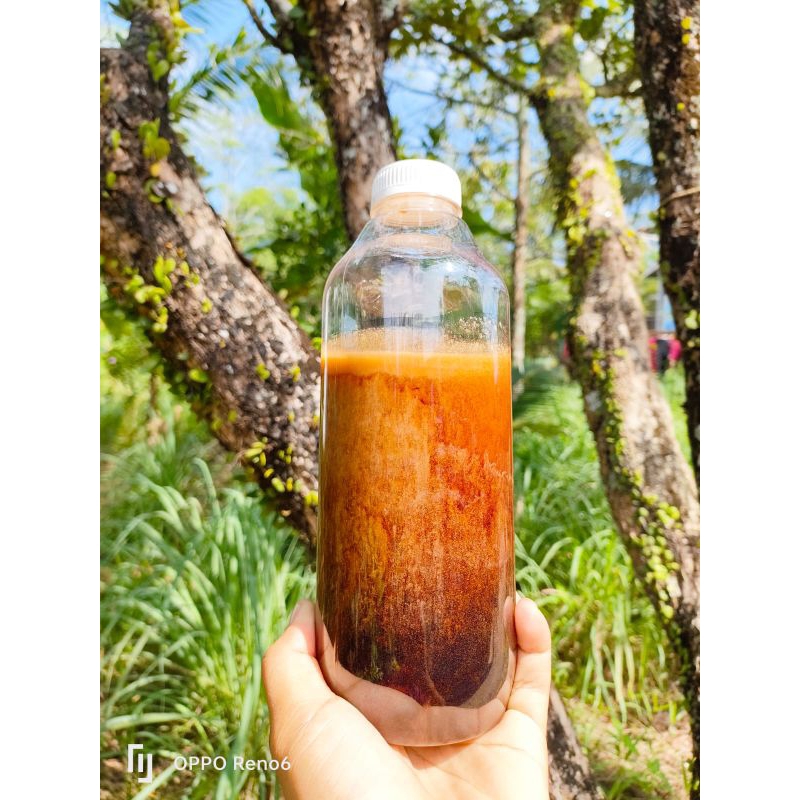 

madu akasia 1000 gram madu asli riau