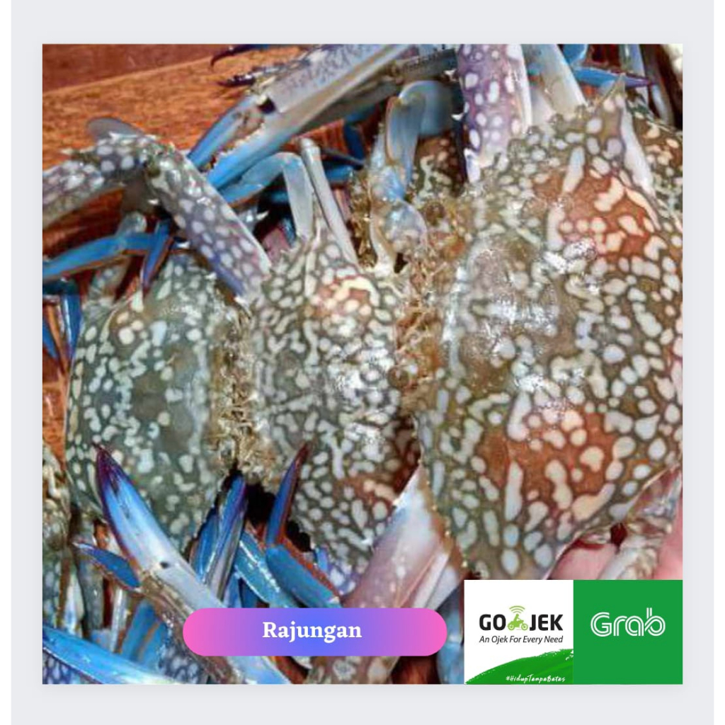 Rajungan Segar 1Kg