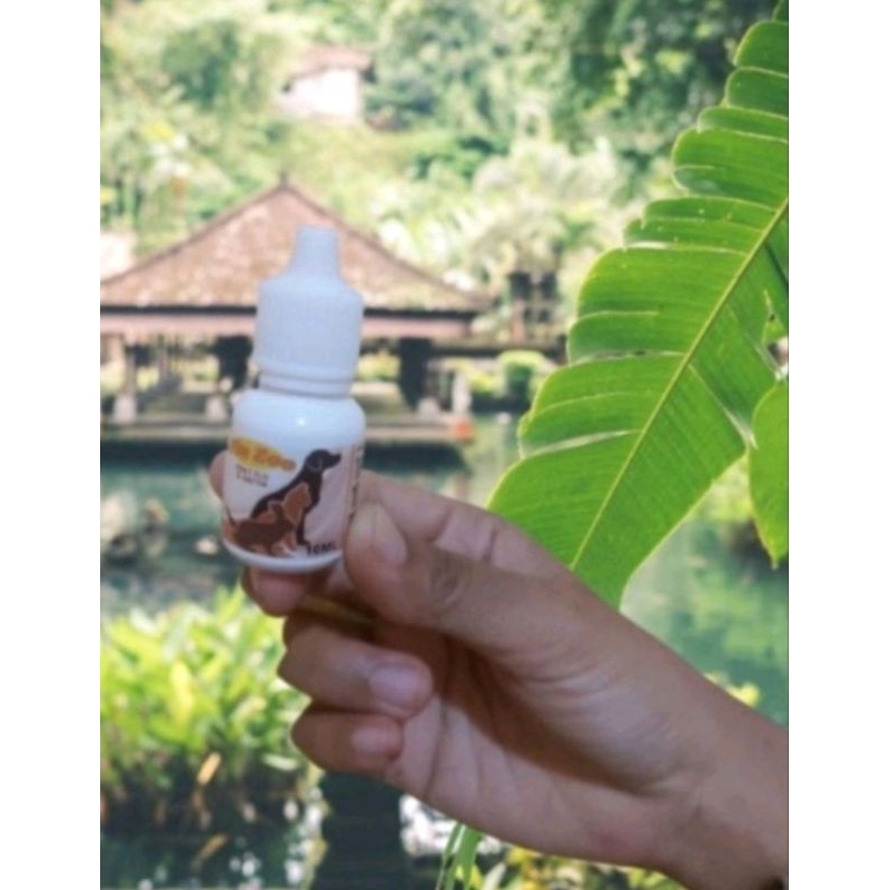 Fluzoo Obat Flu Kucing Obat Batuk Pilek Demam Kucing Fluzoo Flu Hewan Obat Sakit Kucing shaestore15