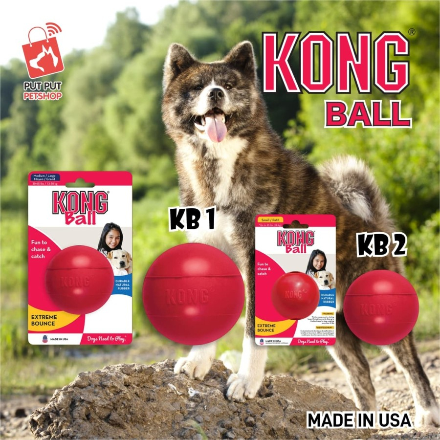 Mainan Anjing Pet Dog Toys Kong Ball Small KB2