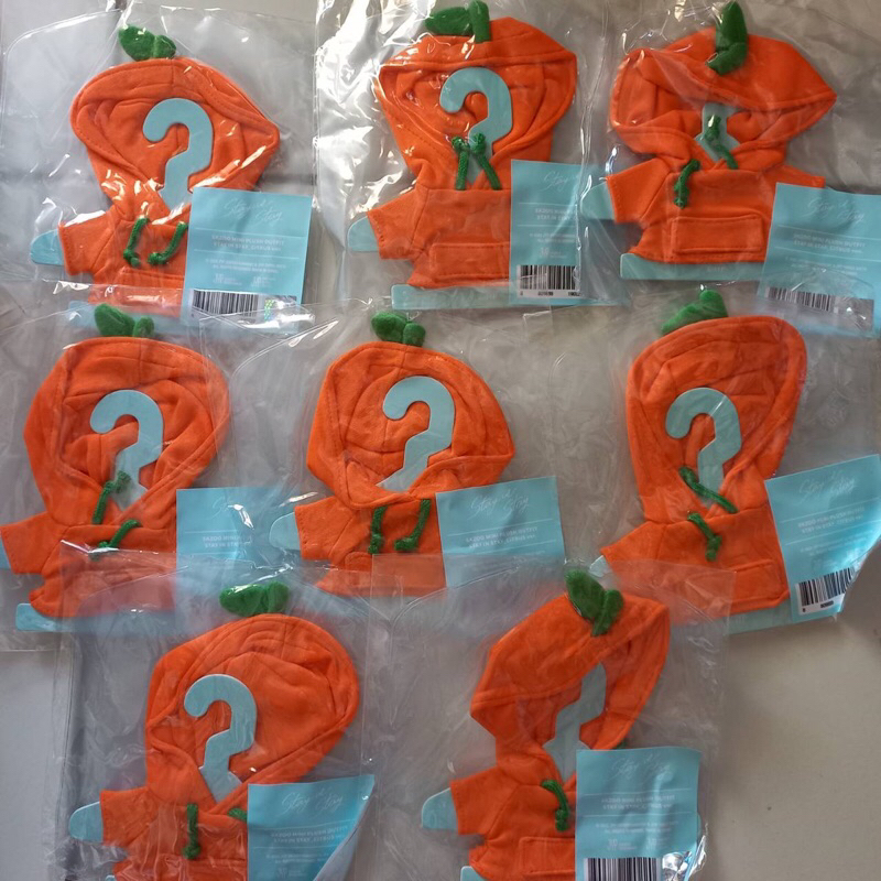 MINI SKZOO PLUSHIE CITRUS OUTFIT OFFICIAL STAY IN JEJU