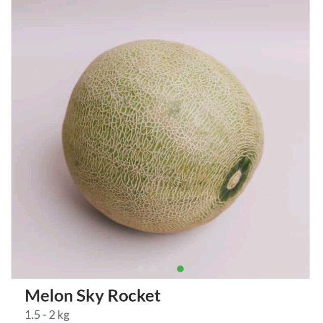 

Melon sky roket 1,5 - 2kg