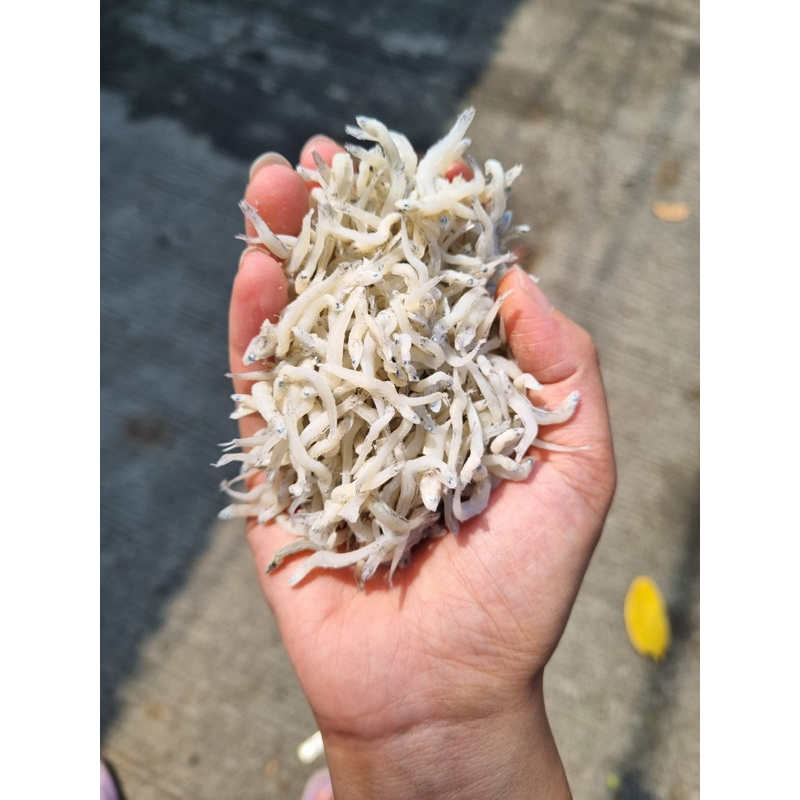 

Teri medan grade a 500gram