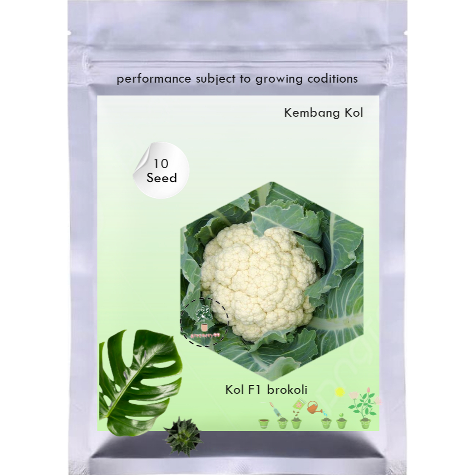 10 Benih Kembang Kol F1 brokoli Putih Dataran Rendah Diamond 40 - Bibit Tanaman Sayur Sayuran Seribu