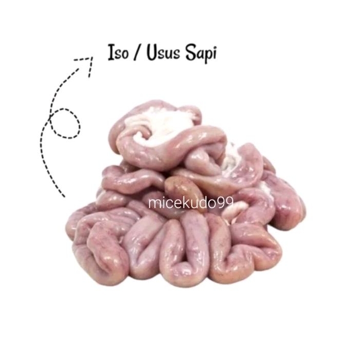 USUS SAPI BERSIH SEGAR FRESH ISO DAECHANG JEROAN JEROHAN