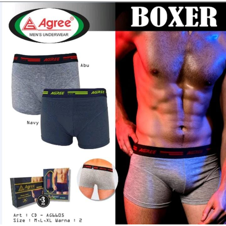 (1box isi 2pcs) Celana Dalam / Boxer Pria AGREE 6605 | isi 2pcs sempak boxer segi empat agree