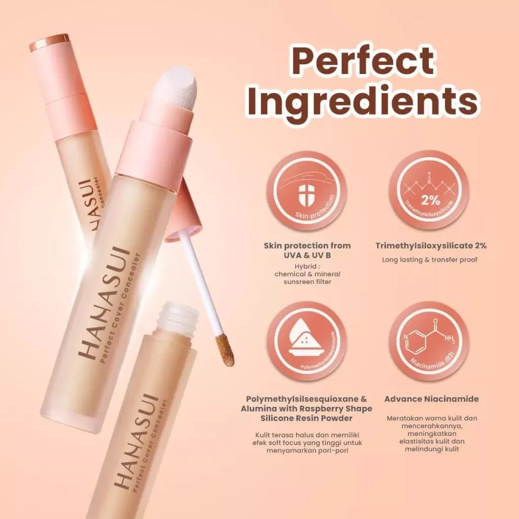 Hanasui Perfect Cover Concealer