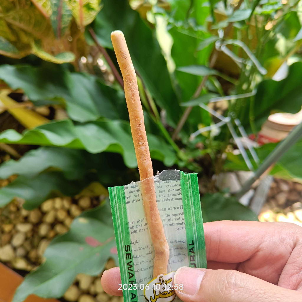 Siwak Gosok Gigi Al Fazal Miswak 15cm