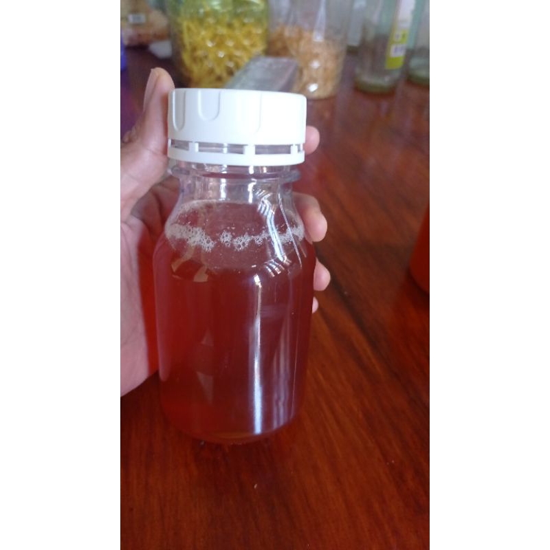 

madu trigona 3 botol