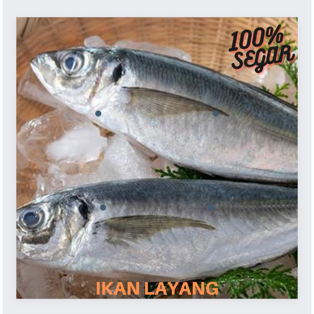 

Ikan Layang Segar 500gr