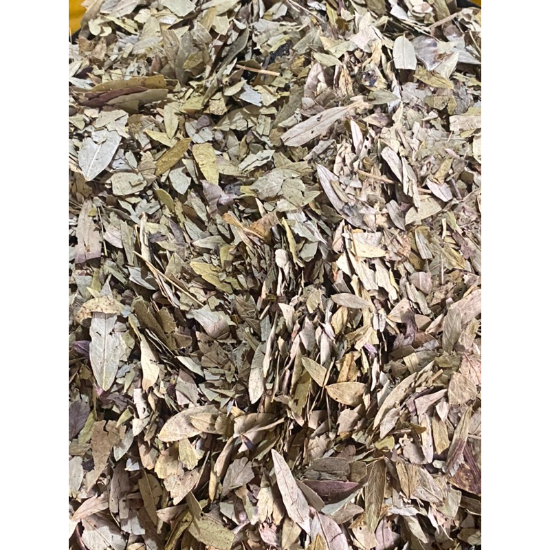 

Daun Jati Cina 1kg asli Good Quality Termurah