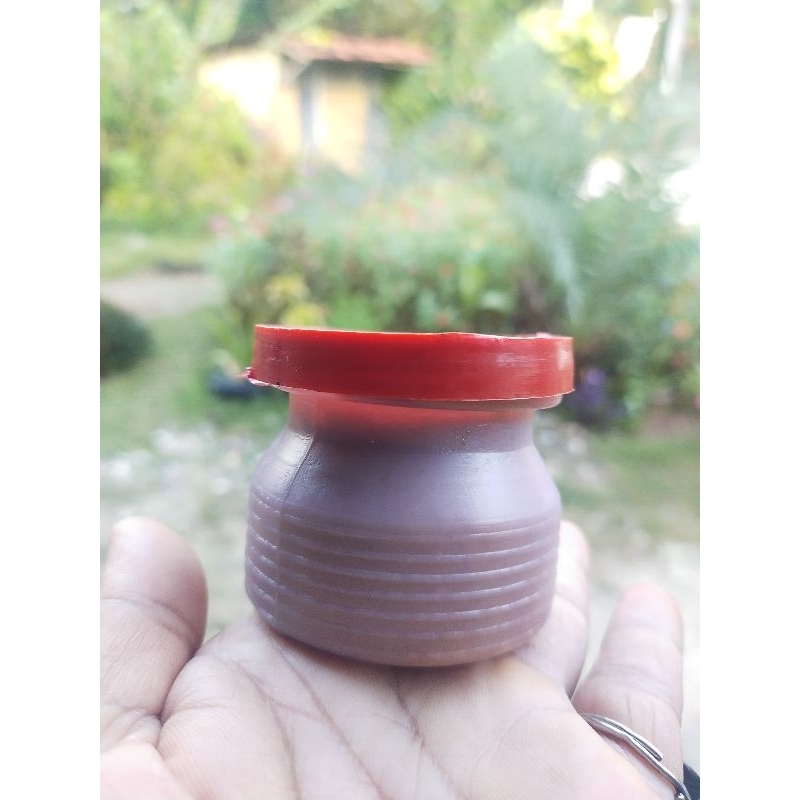 

Petis ikan