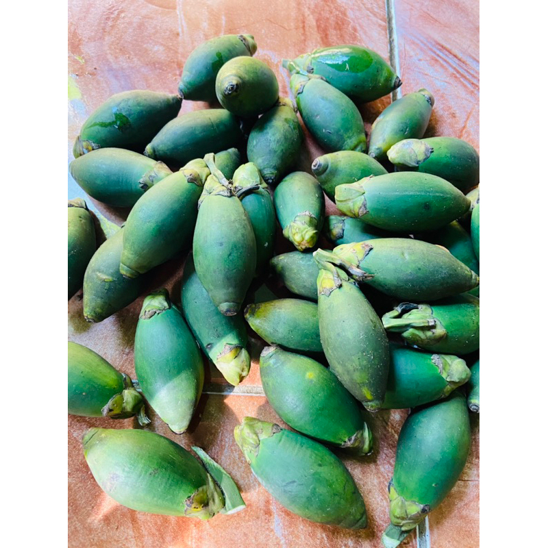 

Pinang muda segar buah pinang muda 1 kg GRATIS akar pinang-az