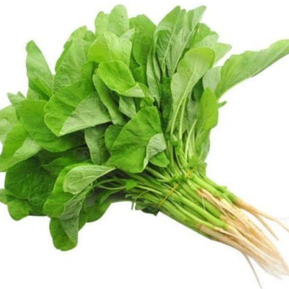 Benih sayur-sayuran (benih bayam hijau)