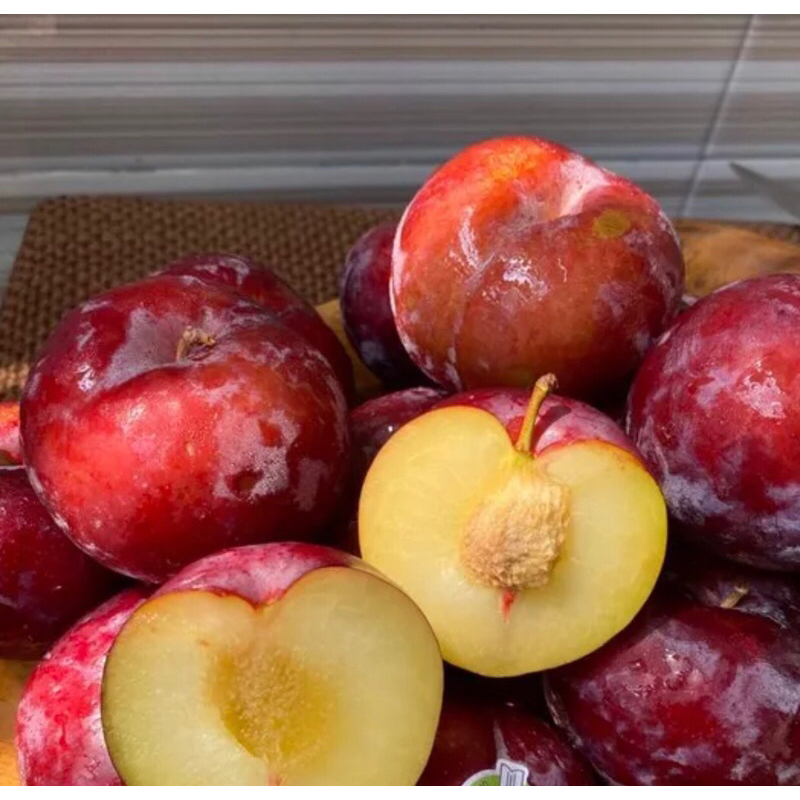 

Buah Plum Red | Plum Merah Holy Fresh 400 grm