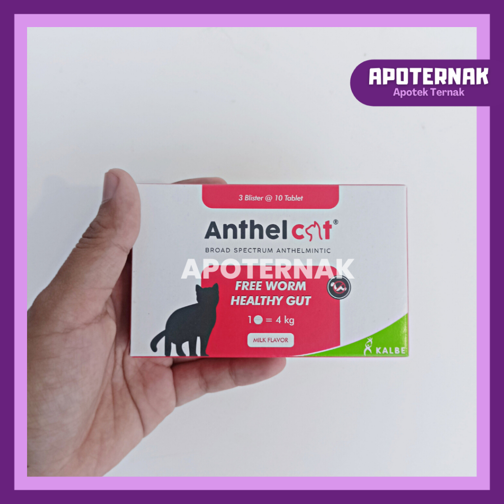 ANTHEL CAT 30 Tablet (1 Box Blister) Obat Cacing Spektrum Luas Untuk KUCING by Kalbe | Harga 30 Tablet Blister