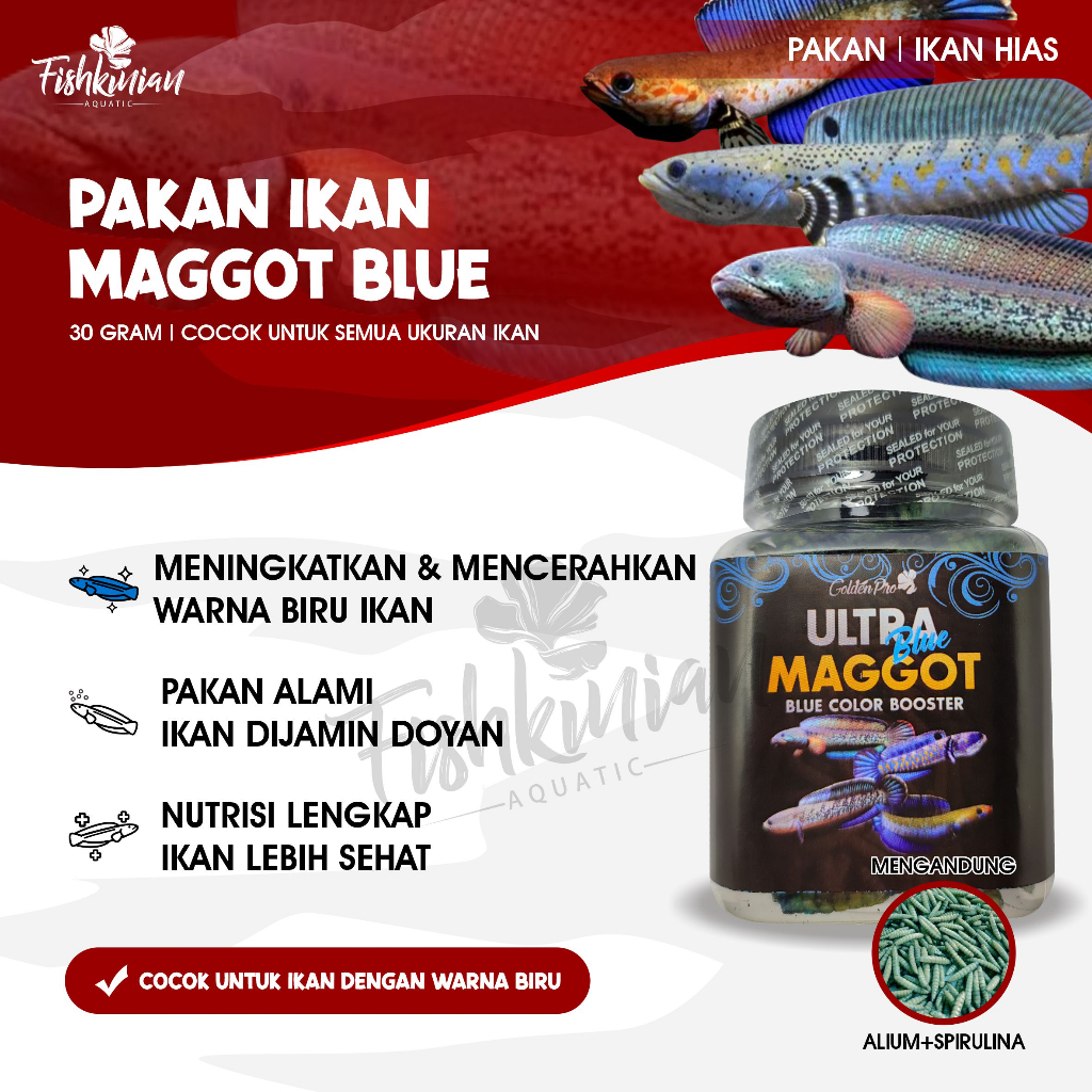 Pakan Ikan Hias Predator Maggot Kering 100 Gram