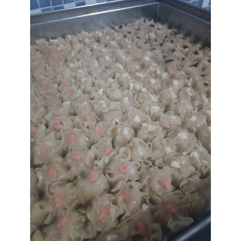 

Dimsum mini grosir 100 pc/pack