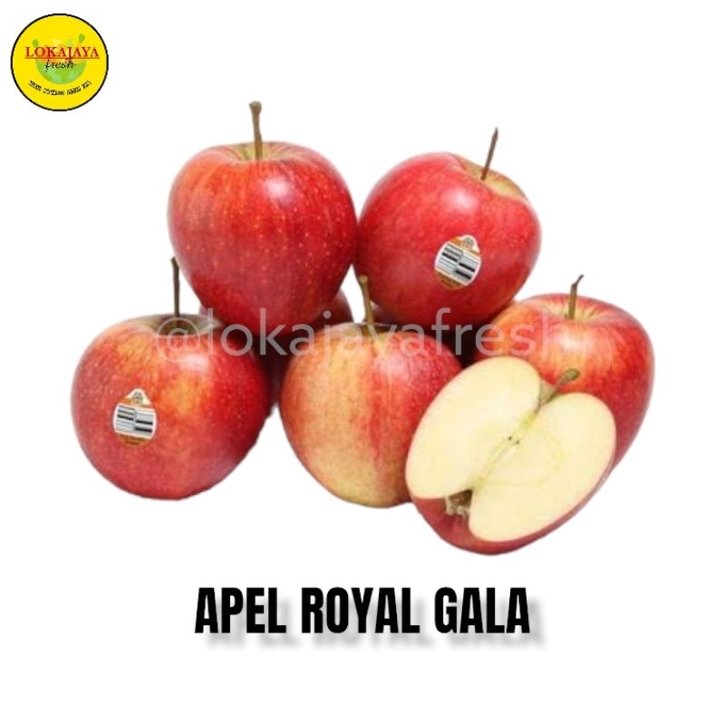 

Apel Royal Gala 1 Kg