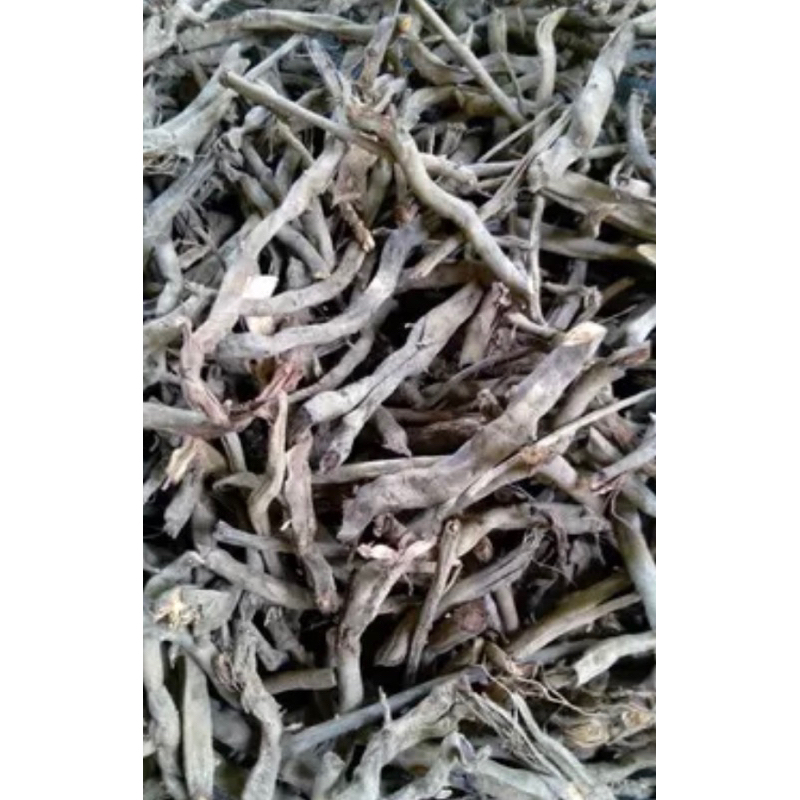 

Akar aren kering natural organik 1 kg