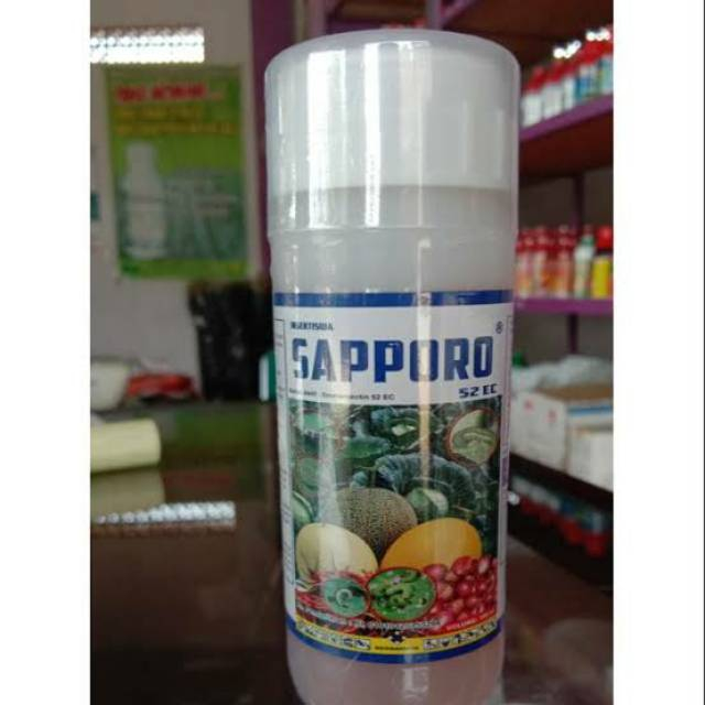 SAPPORO INSEKTISIDA UNTUK PEMBASMI ULAT JAGUNG