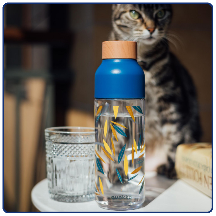 Quokka Ecozen Bottle Ice 720ml | Botol Minum