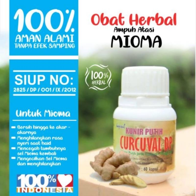 Kunir Putih Kunyit Putih Curcuval DP Obat sakit MIOMA