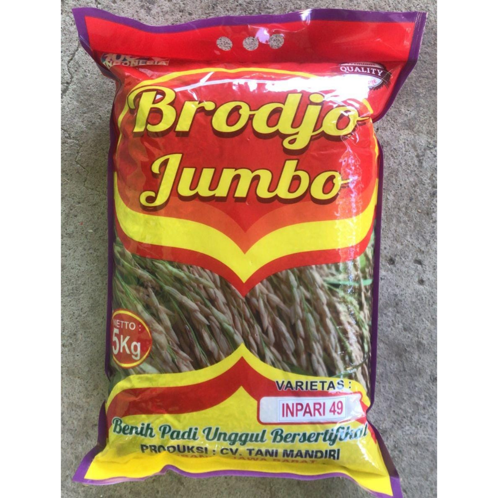 BENIH PADI INPARI 49 KEMASAN 5 KG