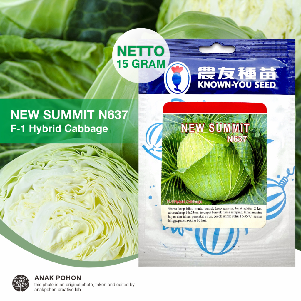 (1 PACK) Benih Kubis NEW SUMMIT N637 Kol Hijau Cabbage Hibrida F1 Seeds - Known You Seed KYS - 15 GRAM