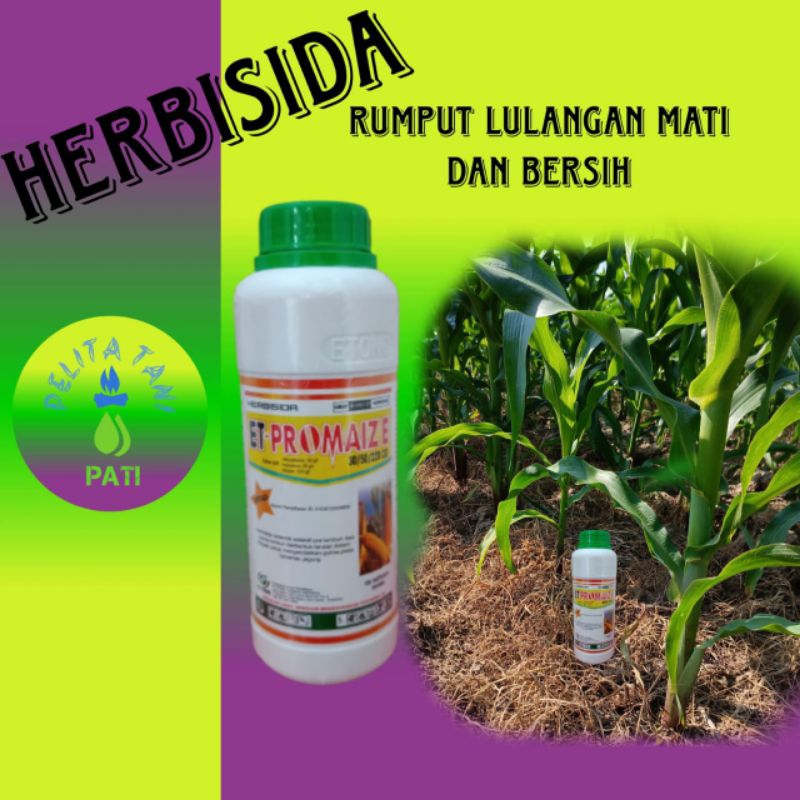 herbisida et promaize 500ml + kaos