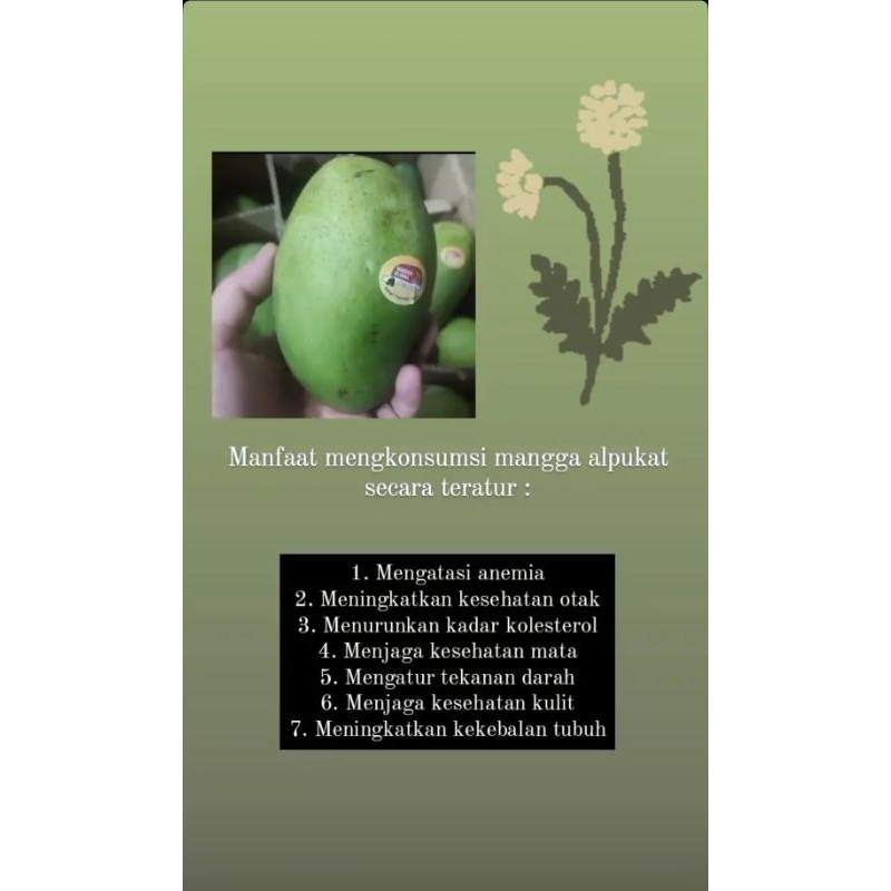 

ManggaAlpukatK21